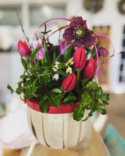 Evolve Flowers - Spring Pink Tulip Basket Arrangement