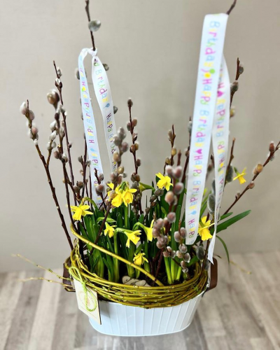 Evolve Flowers - Spring Daffodil Arrangement