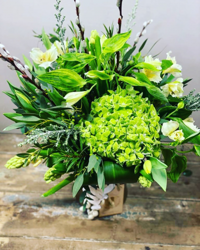 Evolve Flowers -All White & Green Arranagement