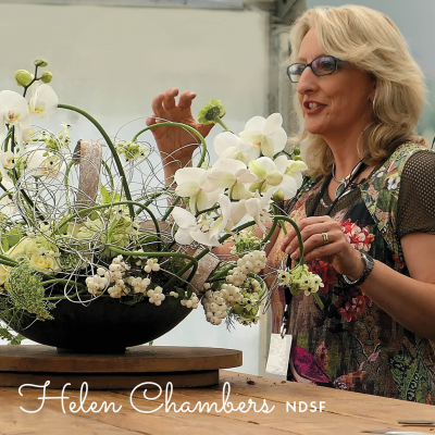 Evolve Flowers - Helen Chambers