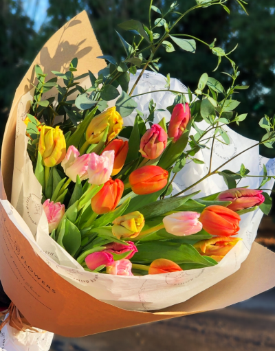 Tulip Specials Product Image