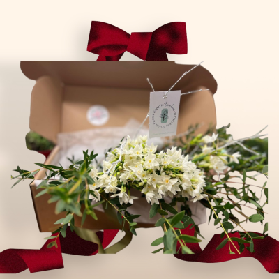 Christmas Gift Unique Bouquet - Scented Sparkles - Beautifully scented Paperwhite Narcissi from the Isles of Scilly with Cornish Eucalyptus Parvifolia and Spangly Birch Branches. Vase offer available