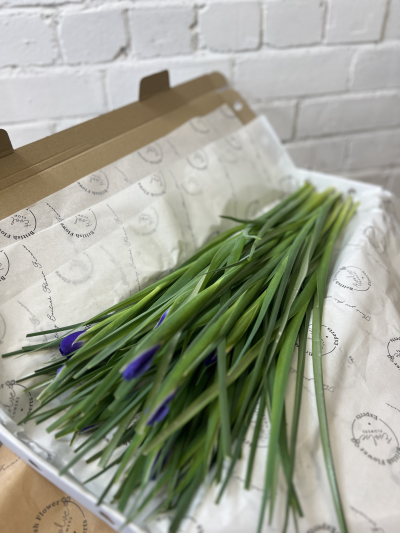 Simply Iris, British Grown - 25 stems of British Grown Iris

We prioritise partnering with local and sustainable flower growers, reducing the carbon footprint associated with transportation.
Our selection process emphasizes growers committed to ethical practices, including planet friendly cultivation and fair labour conditions. Over 95% of our flowers are sourced from within a 40 mile radius of our premises.
