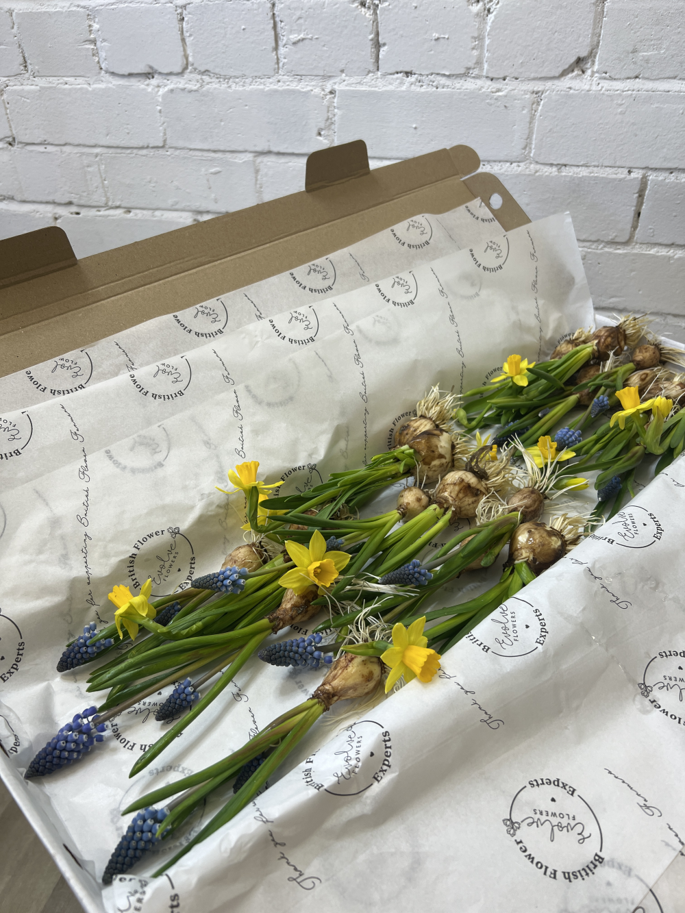 Simply Spring On The Bulb Muscari and Narcissi, British Grown Exclusive. National and Local Delivery