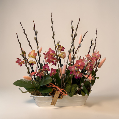 Mother’s Day Vibrant Orchid Planter Product Image