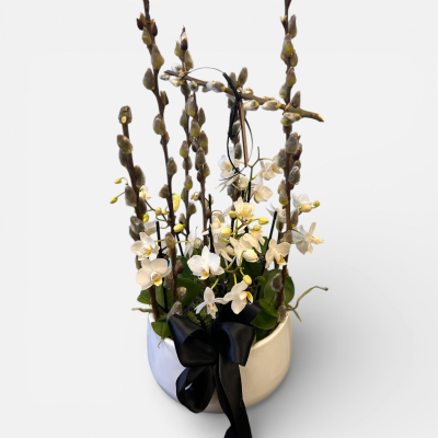Mother’s Day Elegant Orchid Planter Product Image