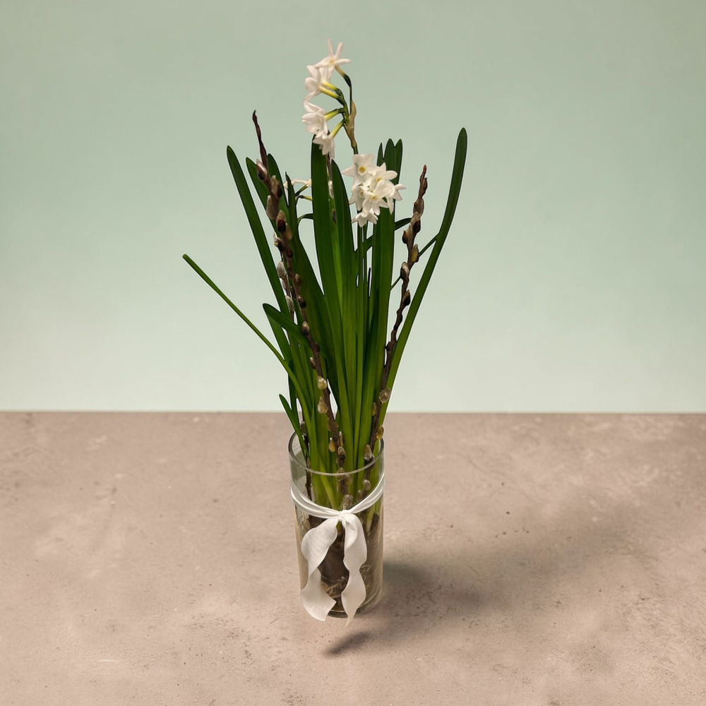 Mother’s Day Living Vase – Paperwhites