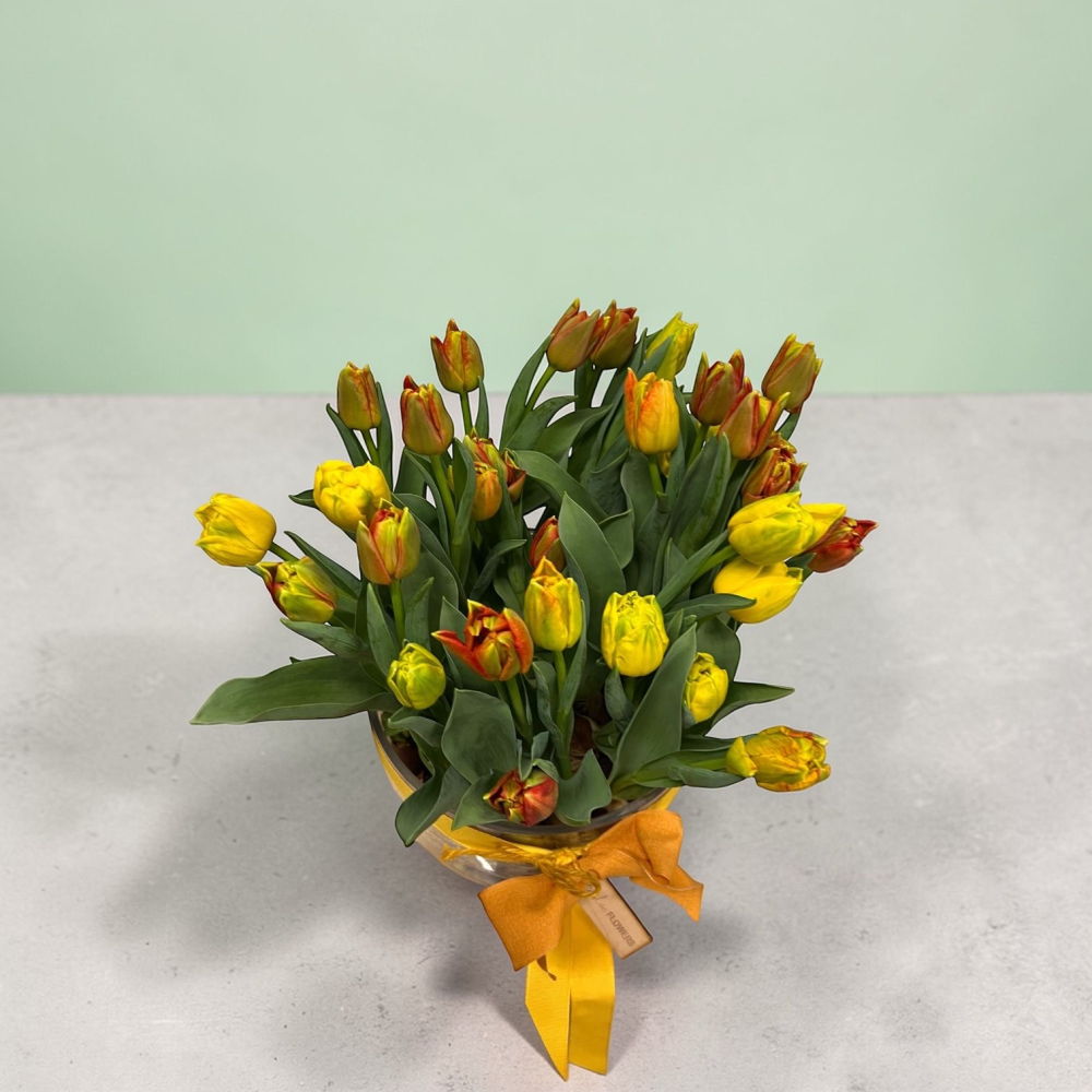 Mother’s Day Living Vase – Mini Tulips